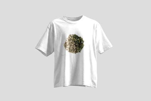 Tee — Nǎi Xiāng Oolong