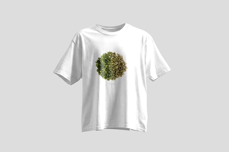 Tee — Green GABA Oolong