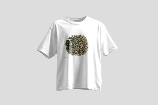 Tee — Ginseng Oolong