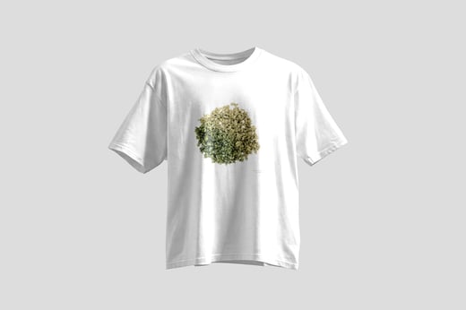 Tee — White Jade GABA Oolong