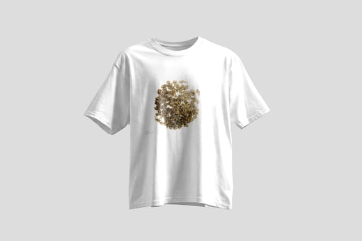 Tee — Dòng Dǐng Oolong