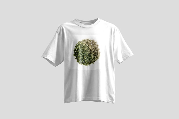Tee — Fruity Tie Guan Yin