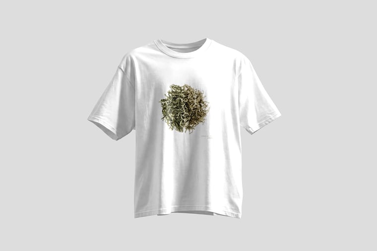 Tee — Yunnan Mao Feng Green Tea
