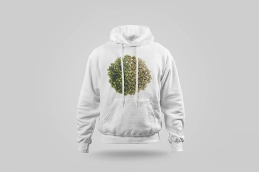 Hoodie — Green GABA Oolong