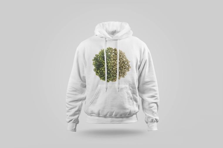 Hoodie — Green GABA Oolong