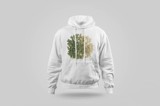 Hoodie — Passion-Fruit Oolong