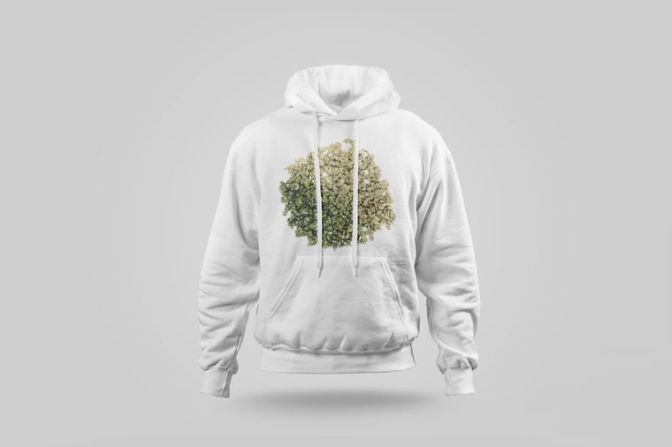 Hoodie — White Jade GABA Oolong