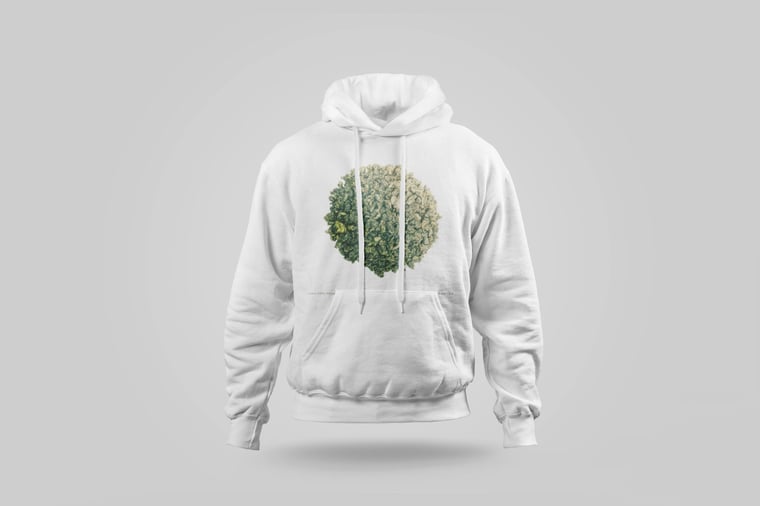 Hoodie — Lishan GABA Oolong