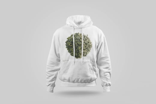 Hoodie — Ālǐshān Zhū Lù Chá