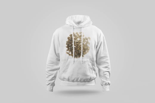 Hoodie — Dòng Dǐng Oolong