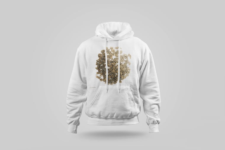Hoodie — Dòng Dǐng Oolong