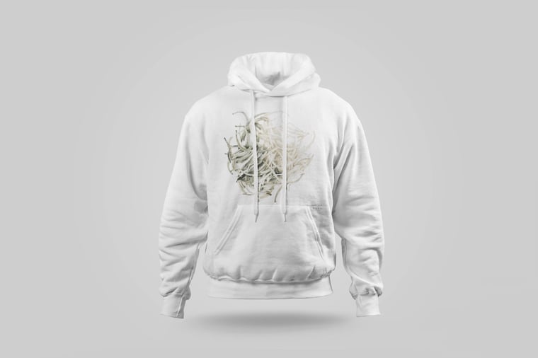 Hoodie — Bái Jiān