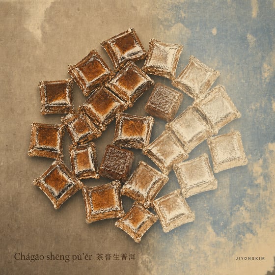 Raw Pu-erh Paste