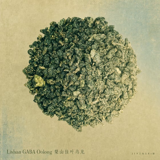 Lishan GABA Oolong