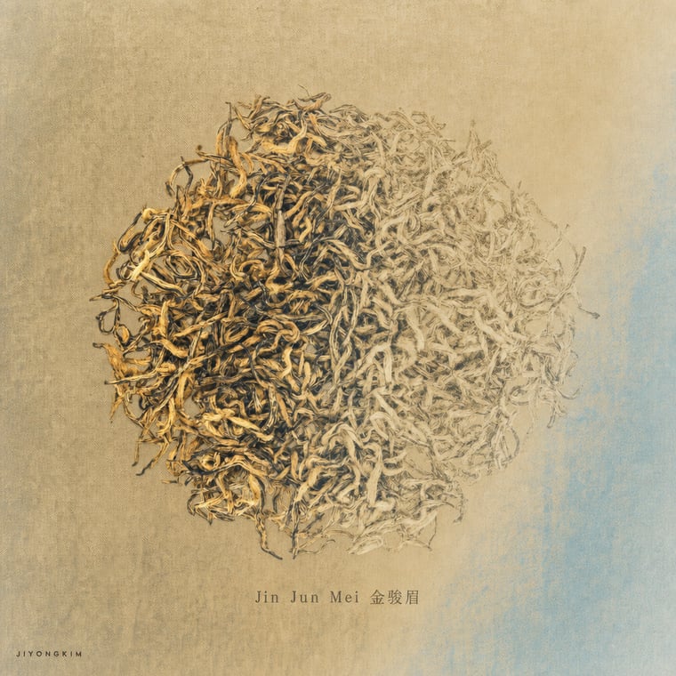 The design — Jīn Jùn Méi