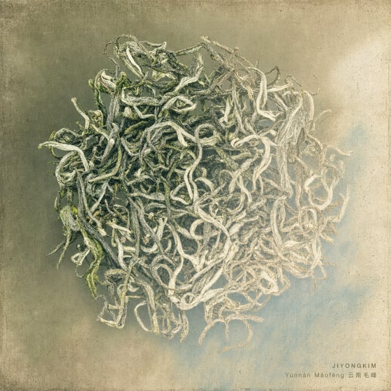 Yunnan Mao Feng Green Tea